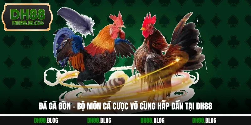 Đá Gà Đòn - Bộ Môn Cá Cược Vô Cùng Hấp Dẫn Tại DH88