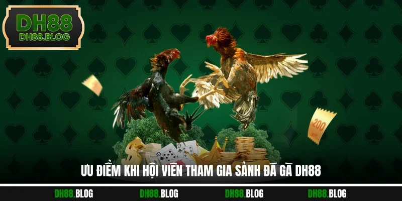Ưu điểm khi hội viên tham gia sảnh đá gà DH88
